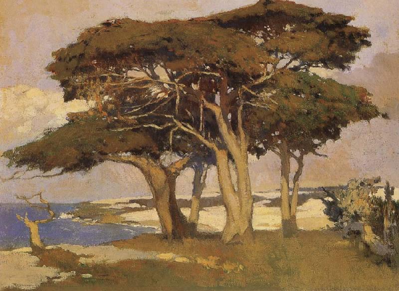 Arthur Mathews Monterey Cypress